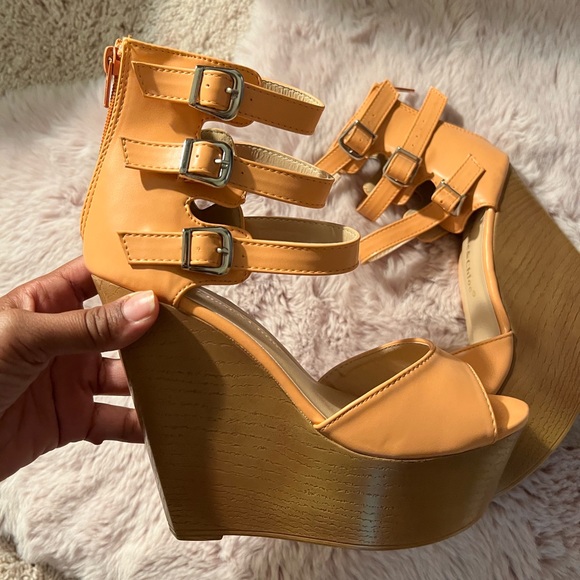 Shelby - Picture 3 of 3